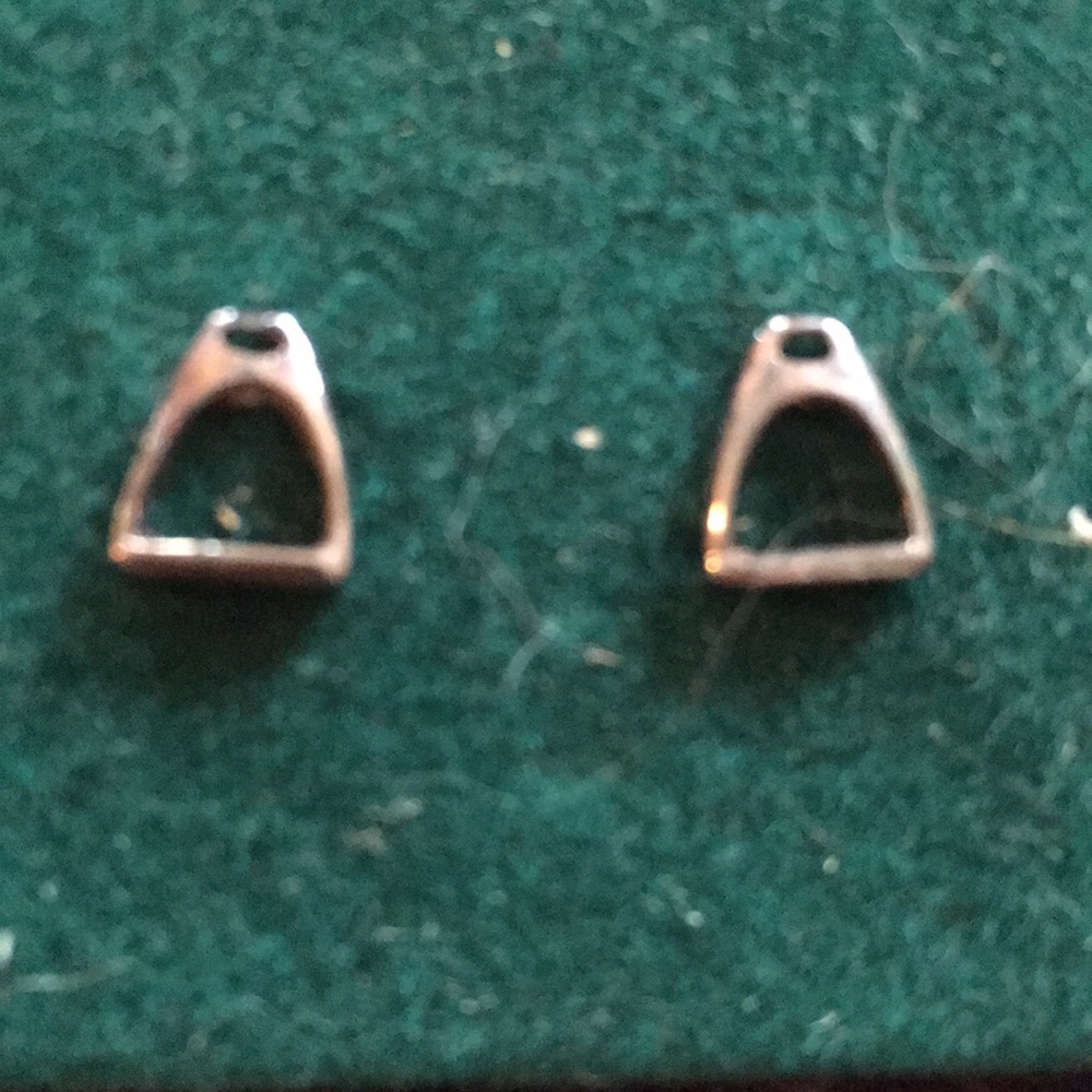 horseshoe earrings